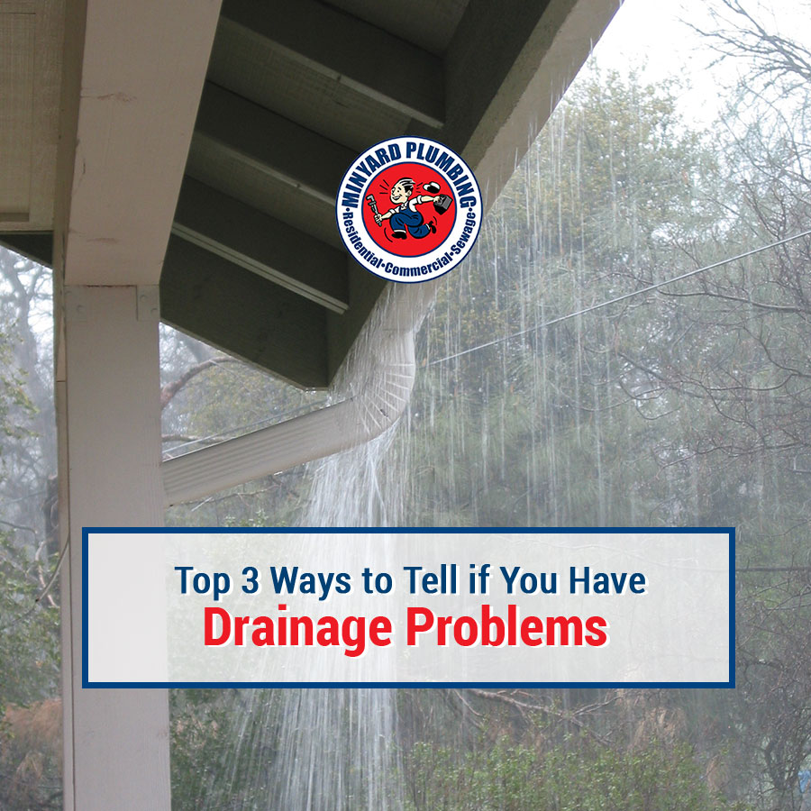 Top 3 Ways to Tell if You Have Drainage Problems