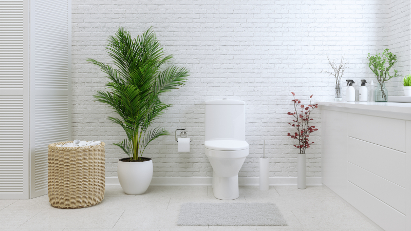 4 Tips for Backed-Up Toilets
