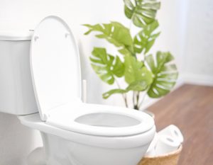 What to Do if You Have a Backed-Up Toilet